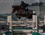 Del Signore Lordiana TosTour 2013- S5 3349 : Arezzo Equestrian Centre, Del Signore Michol, Lordiana, Toscana Tour 2013, foto di Stefano Secchi ©